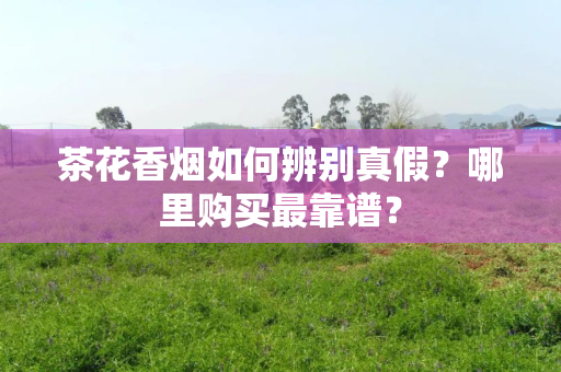 茶花香烟如何辨别真假？哪里购买最靠谱？